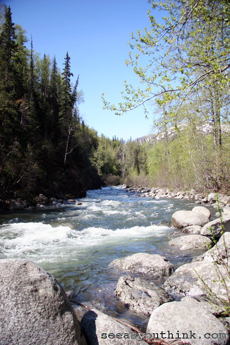 alaska #3